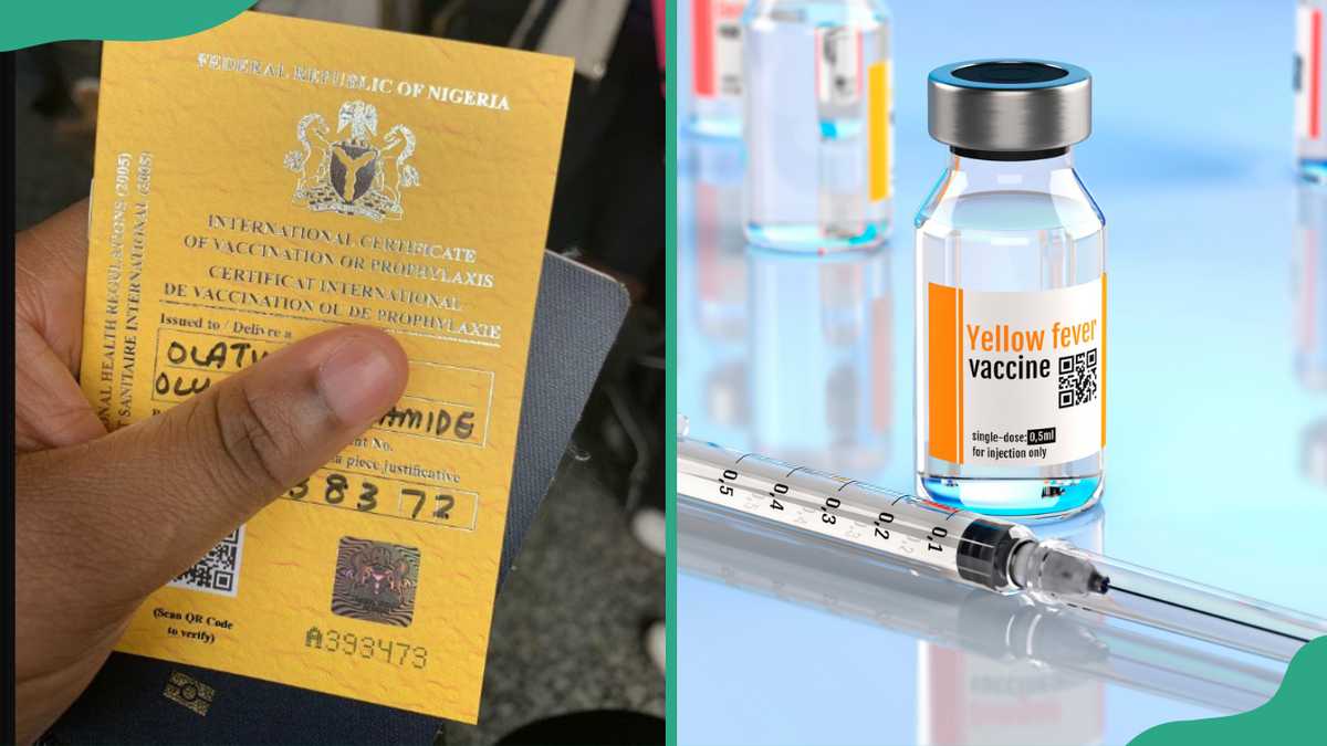 Yellow Card Nigeria: all you need to know about your Yellow Fever vaccination