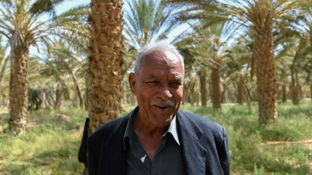 Tunisian 'revolution oasis' palm grove thrives on self-rule