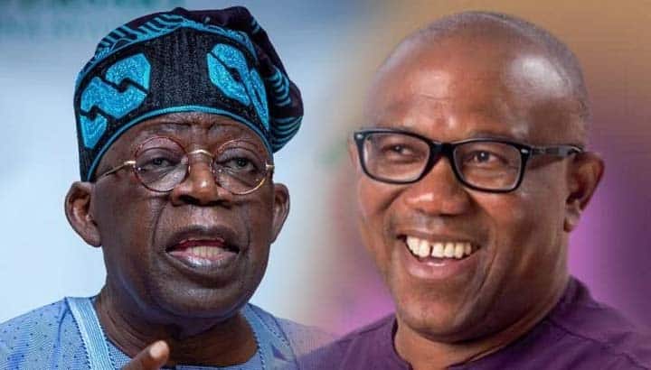 Peter Obi Is Calm, Only Rugged Person Can Contest Tinubu - Adeyanju