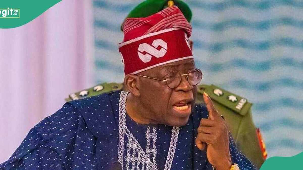 2027 Election: Afenifere Announces Support for One Candidate Amid Plot to Retire Tinubu