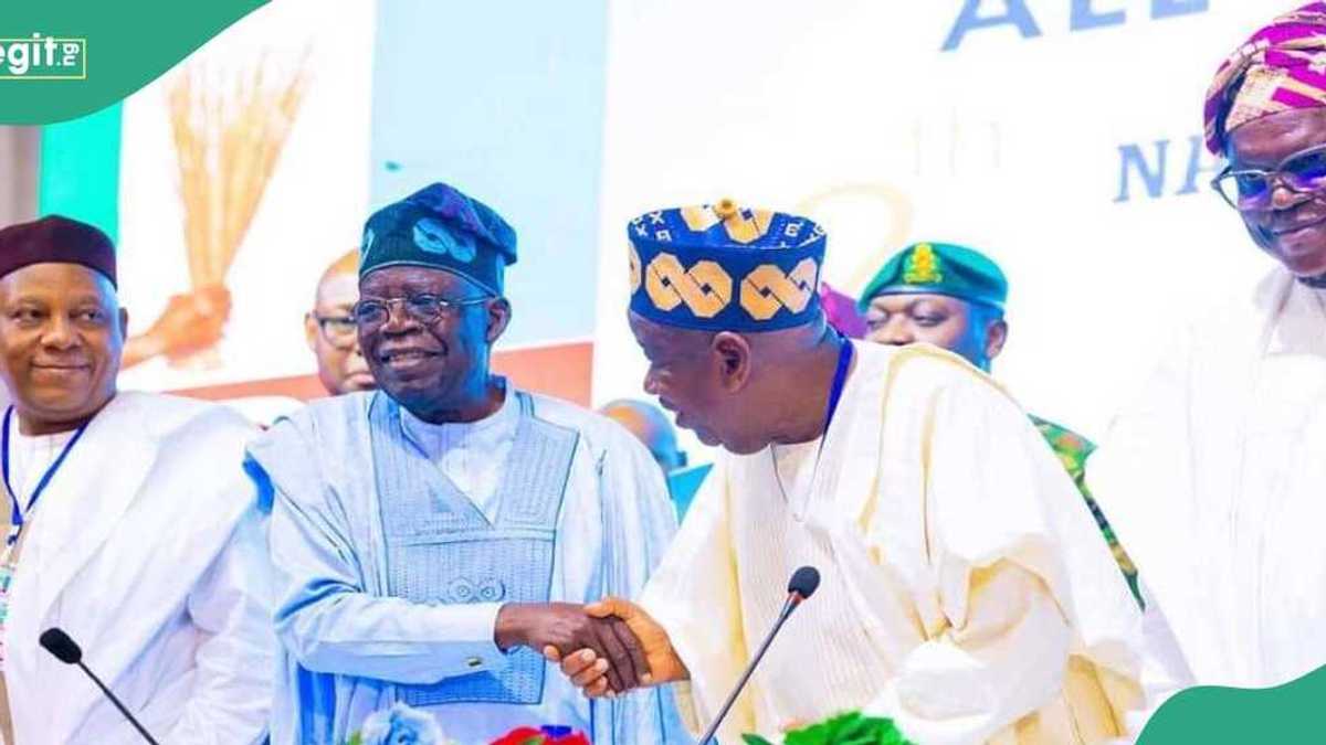 2027: Jam'iyyar APC Tana Kwadaitar da Gwamnonin Adawa don Cigaba da Mulki