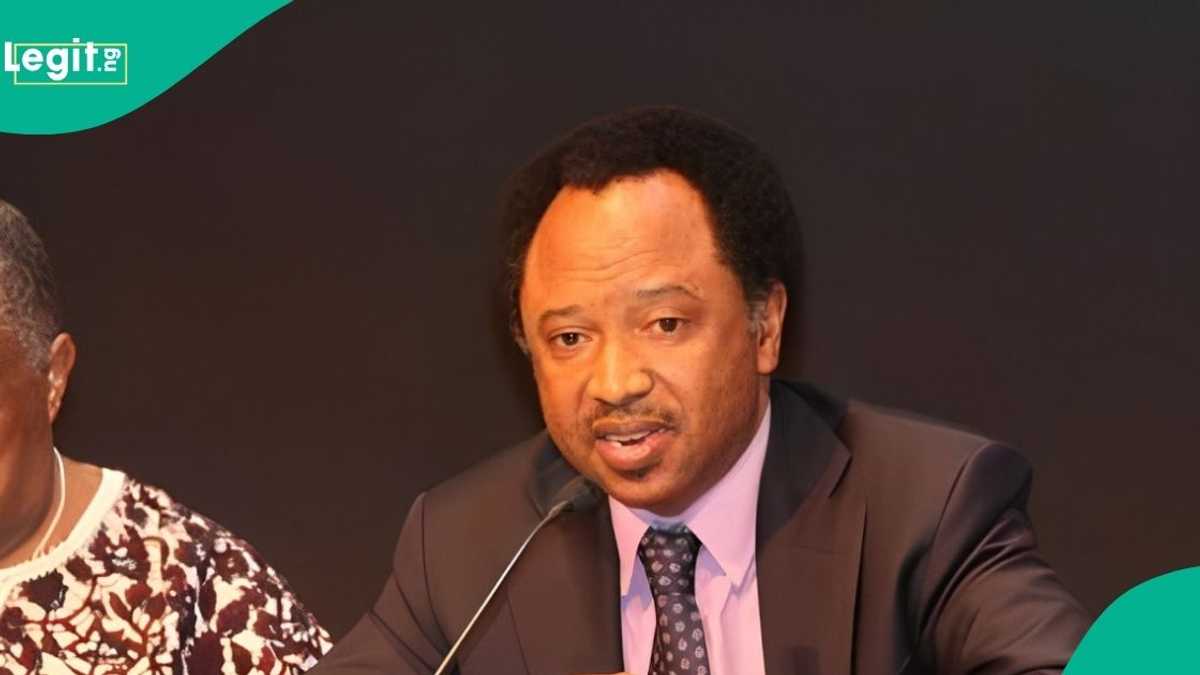 2027 Presidency: What Will Happen If Atiku’s Coalition Against Tinubu Fails, Shehu Sani Explains