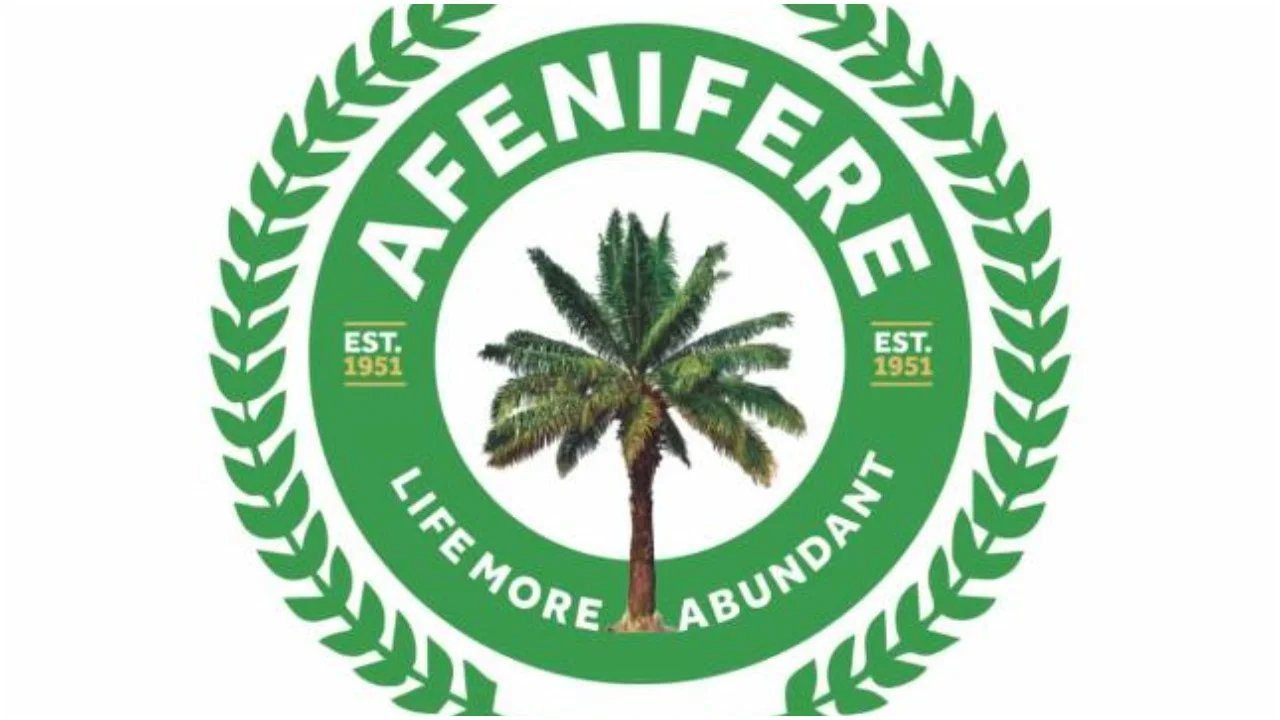 Afenifere warns against plot to scuttle Tinubu’s second term ambition