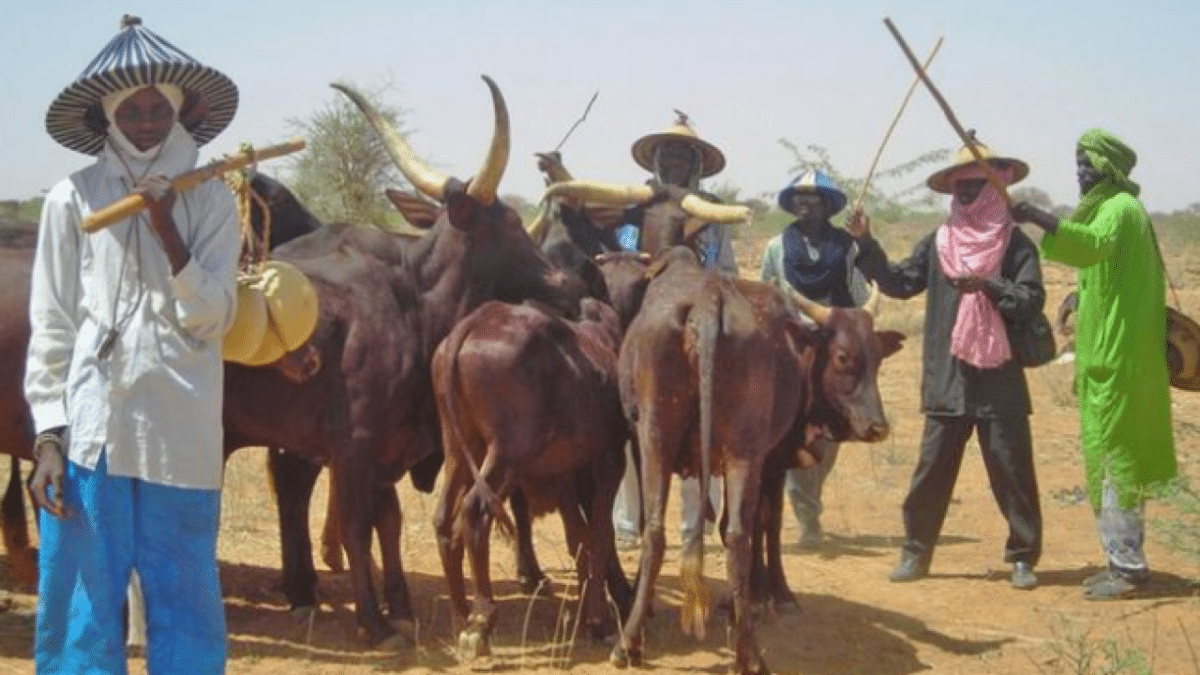 Again, suspected armed herdsmen invade Benue community, kill four 