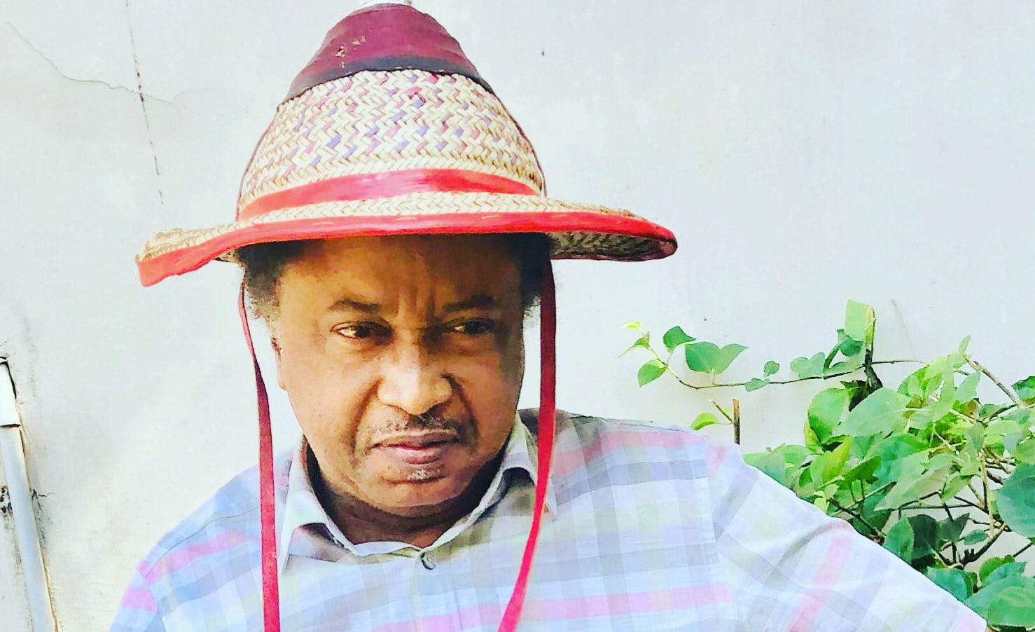 Agricultural summits in North mere ‘talking shops’ – Shehu Sani