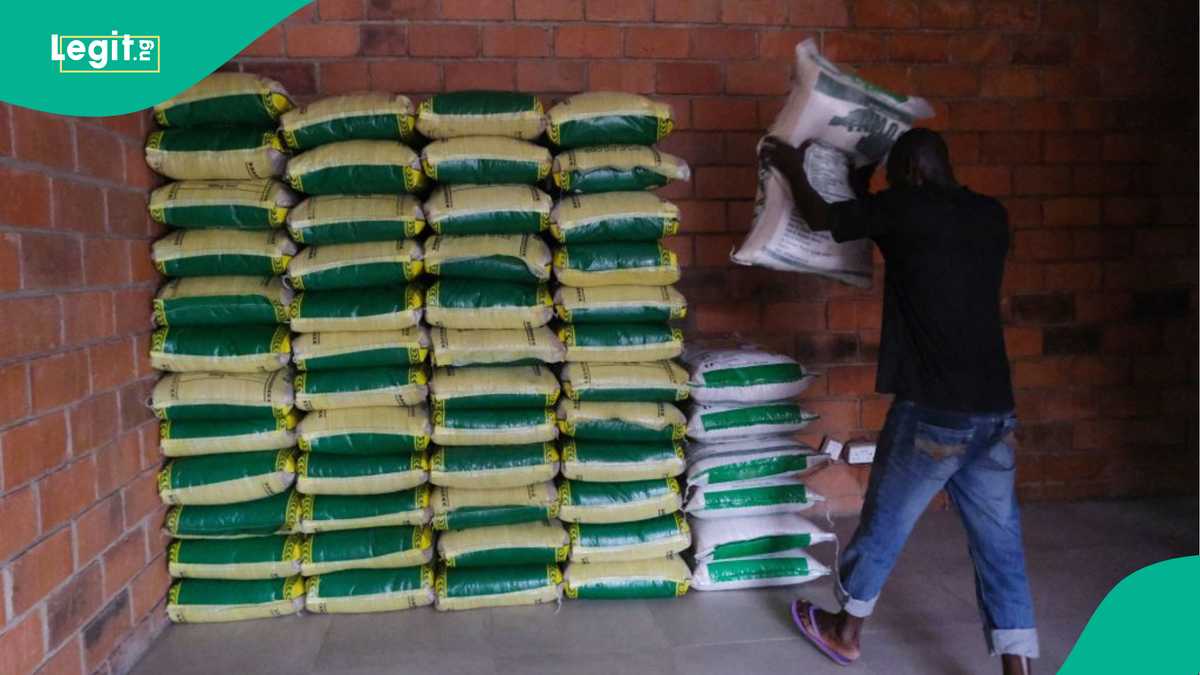 Alleged ‘Deadly Rice’ in Ogun, Lagos Causes Tension Among Parents, FG Reacts
