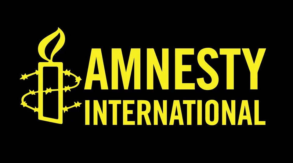 Amnesty International condemns Boko Haram over alleged killing of 23 farmers, fishermen 