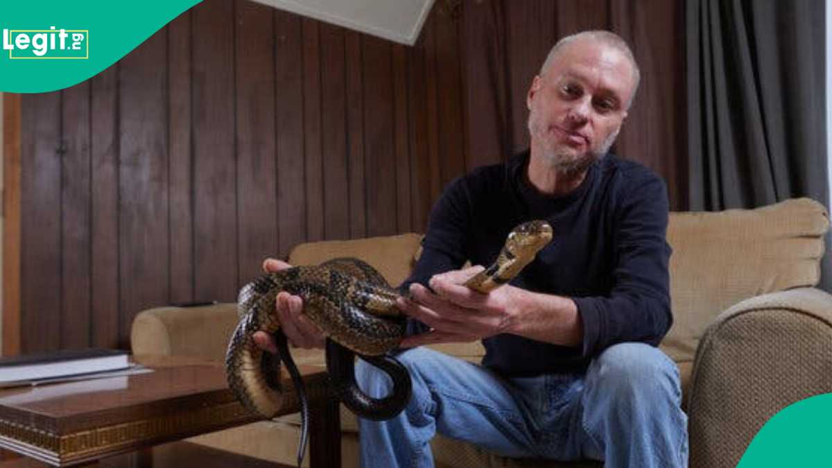 Ana Hada Rigakafin Maciji daga Jinin Mutumin da Macizai 200 Suka Ciza