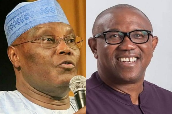 Peter Obi Responds To Atiku’s Call To Fight Tinubu Over ‘Forged’ Certificate