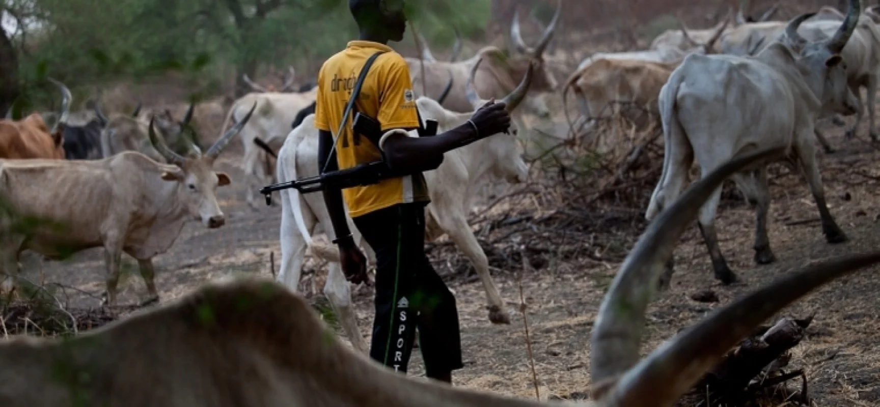 BREAKING: Newly-wed soldier, others killed as suspected herdsmen attack Benue community