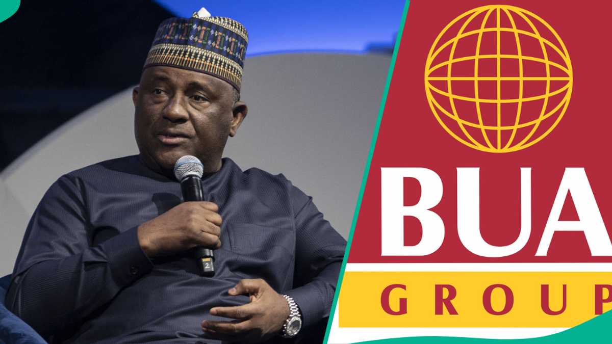 BUA Announces Job Vacancies for Nigerians in 5 Roles, 2 Departments