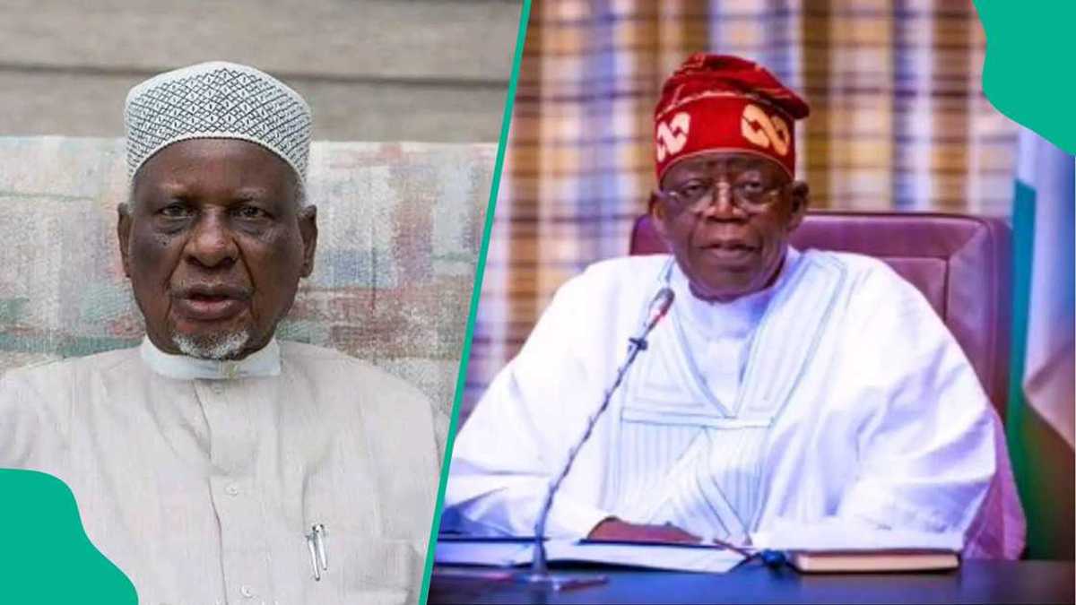 'Babu Yan Siyasa Masu Kwari,' Tanko Yakasai Ya ce Babu Mai Iya Tunkarar Tinubu a 2027