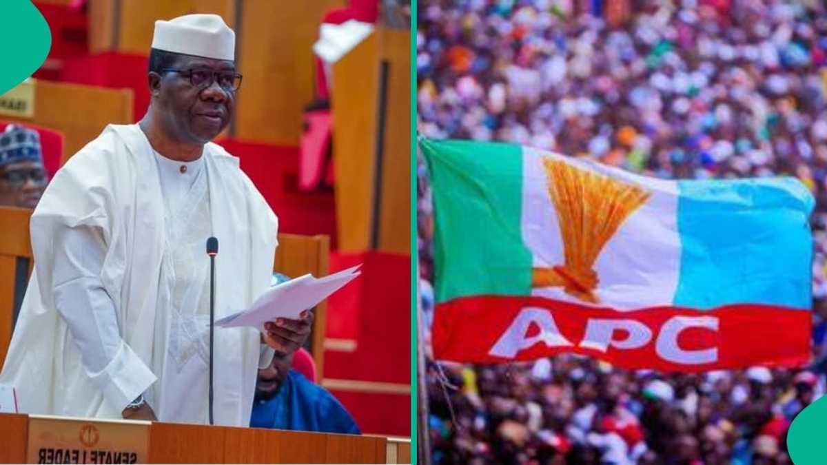 Bamidele Ya Tsage Gaskiya kan Batun Tinubu na Tilastawa 'Yan Adawa Komawa APC