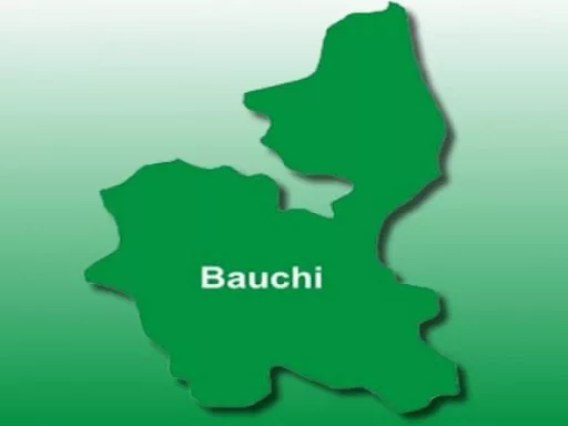 Bandits Kill 10 Hunters, Others In Bauchi Community