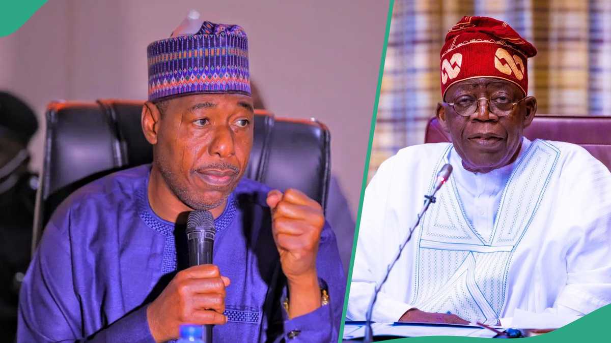 “Boko Haram on the Verge of Taking Over Entire LG in My State,” Nigerian Governor Raises Alarm