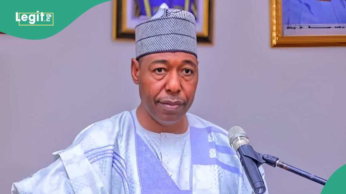 Borno: Boko Haram na Warware Aikin Jami'an Tsaro, Ta Kashe Manoma 90 cikin Watanni