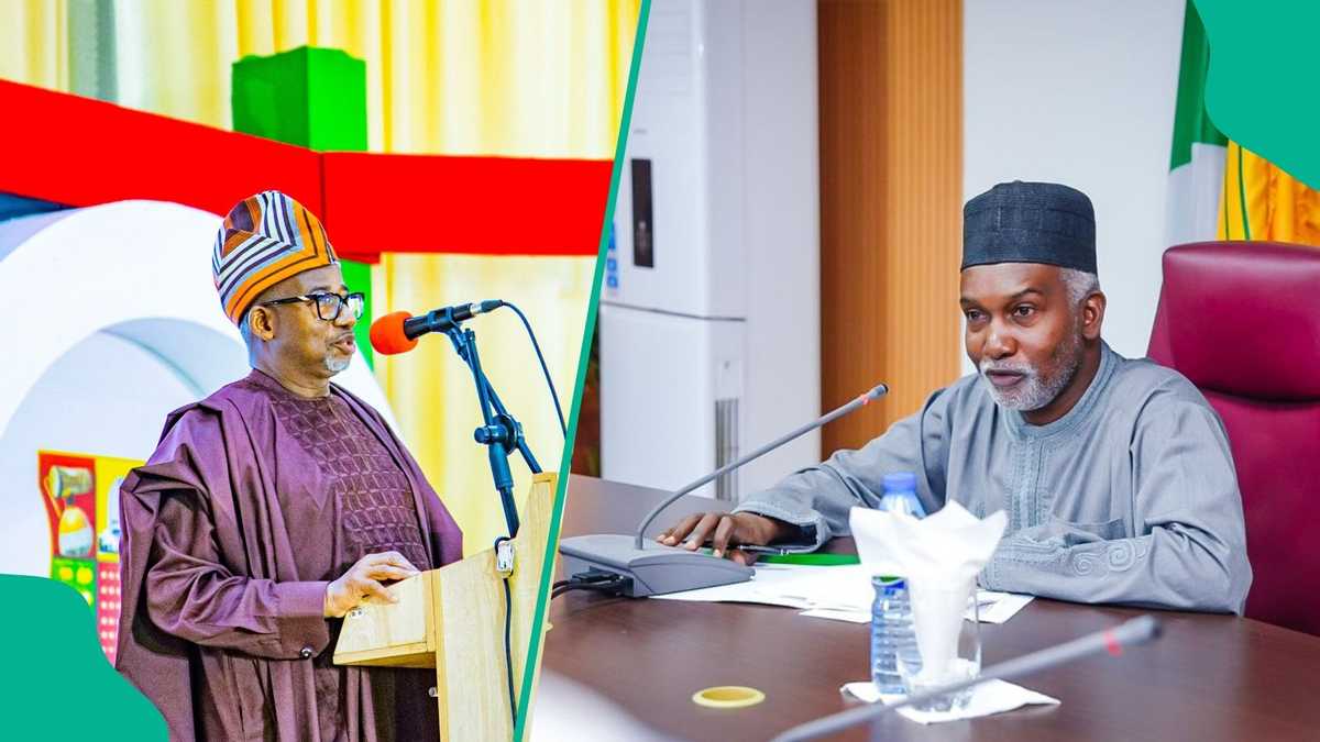 Breaking: Tinubu's Minister Mentions Governor Who Threatened to Slap Him
