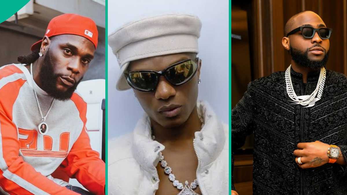 Burna Boy’s Fan Suggests Wizkid's Beef with Davido Hurt His Morayo Tour As Singer Cancels Shows