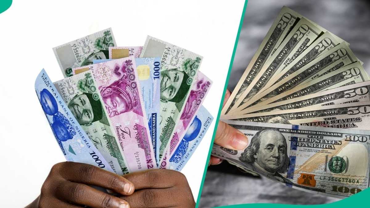 CBN Adjusts Customs Exchange Rates to Clear Goods as Naira Records Highest Weekly Fall