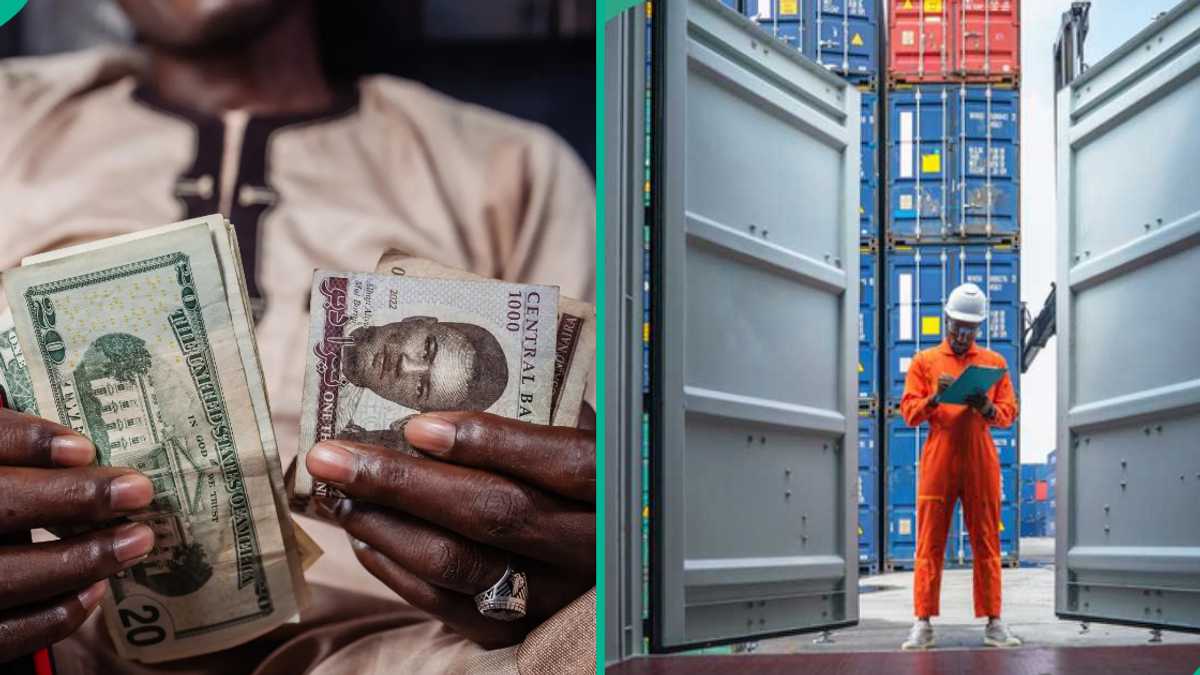 CBN Announces New Dollar Customs Exchange Rate for Importers To Clear Goods as Naira Appreciates