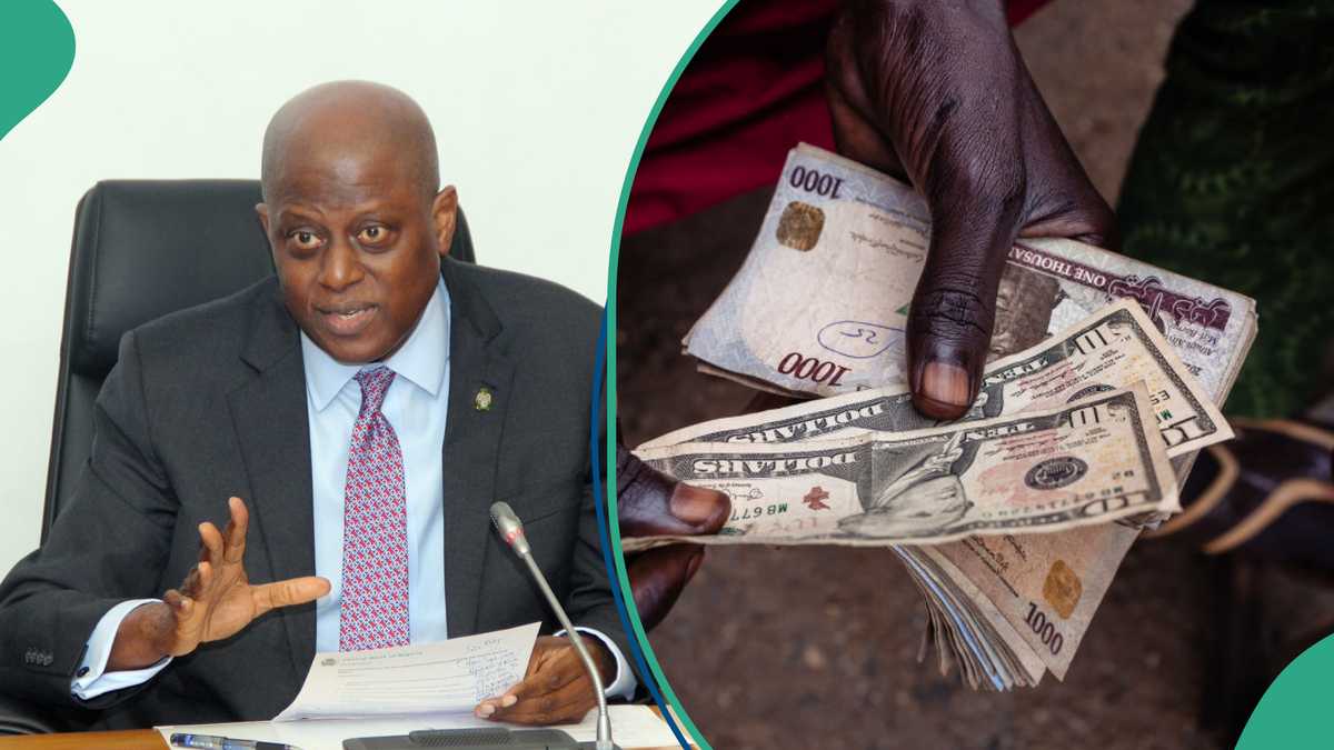 CBN Governor Happy as Naira Appreciates Against US Dollar in All Forex Markets