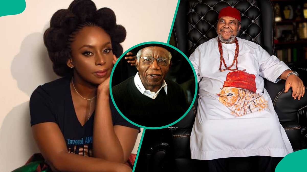Chimamanda Adichie Headlines Things Fall Apart Festival, Pete Edochie, Others Honour Chinua Achebe