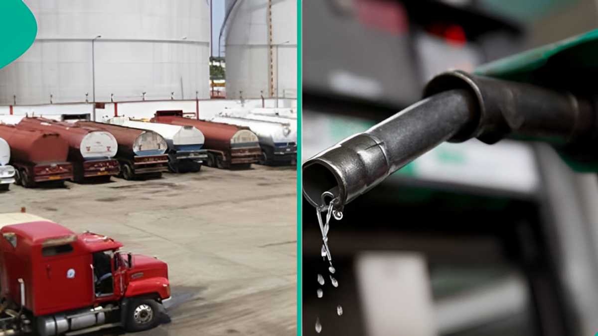 Competition for Dangote As 8 Nigerian Companies Import 332m Litres of Petrol Imports