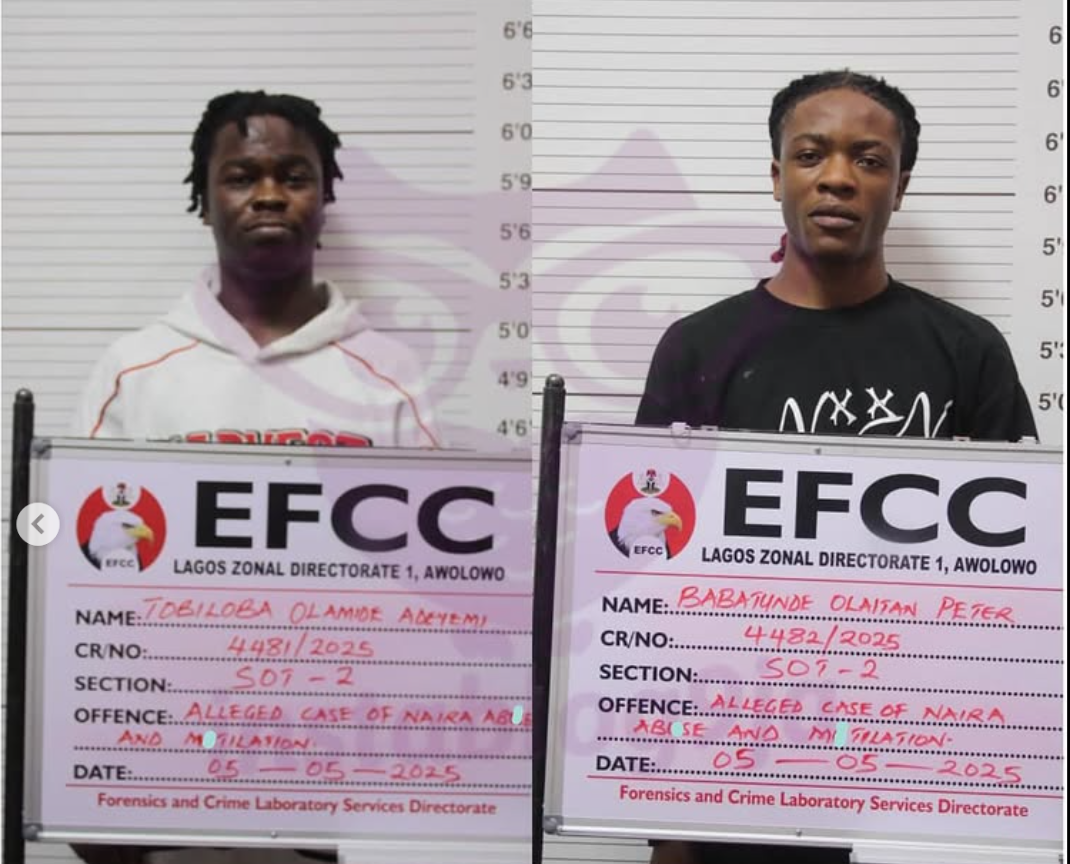 Court sentences two popular TikTok stars for naira abuse