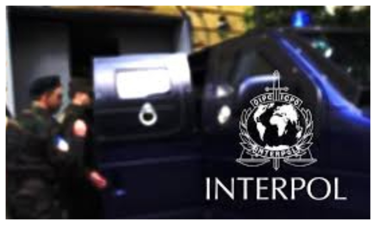 Criminals on INTERPOL red list arrested in Nigeria – FG reveals