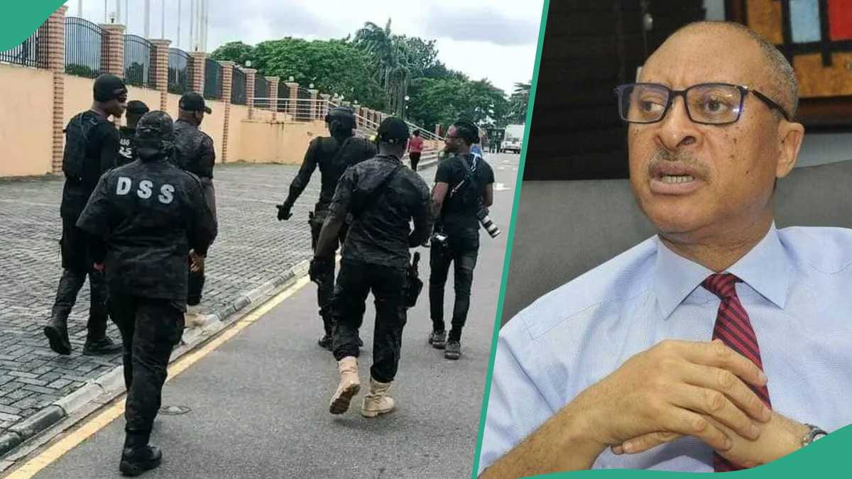 DSS Takes Fresh Action Against Pat Utomi over Alleged Attempt to Overthrow Tinubu’s Government