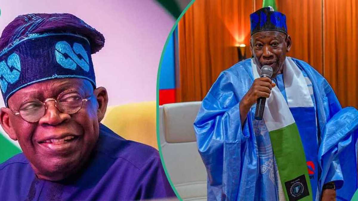 Dabaru 4 da Tinubu, Ganduje Suka Dauka wajen Ragargaza 'Yan Adawa