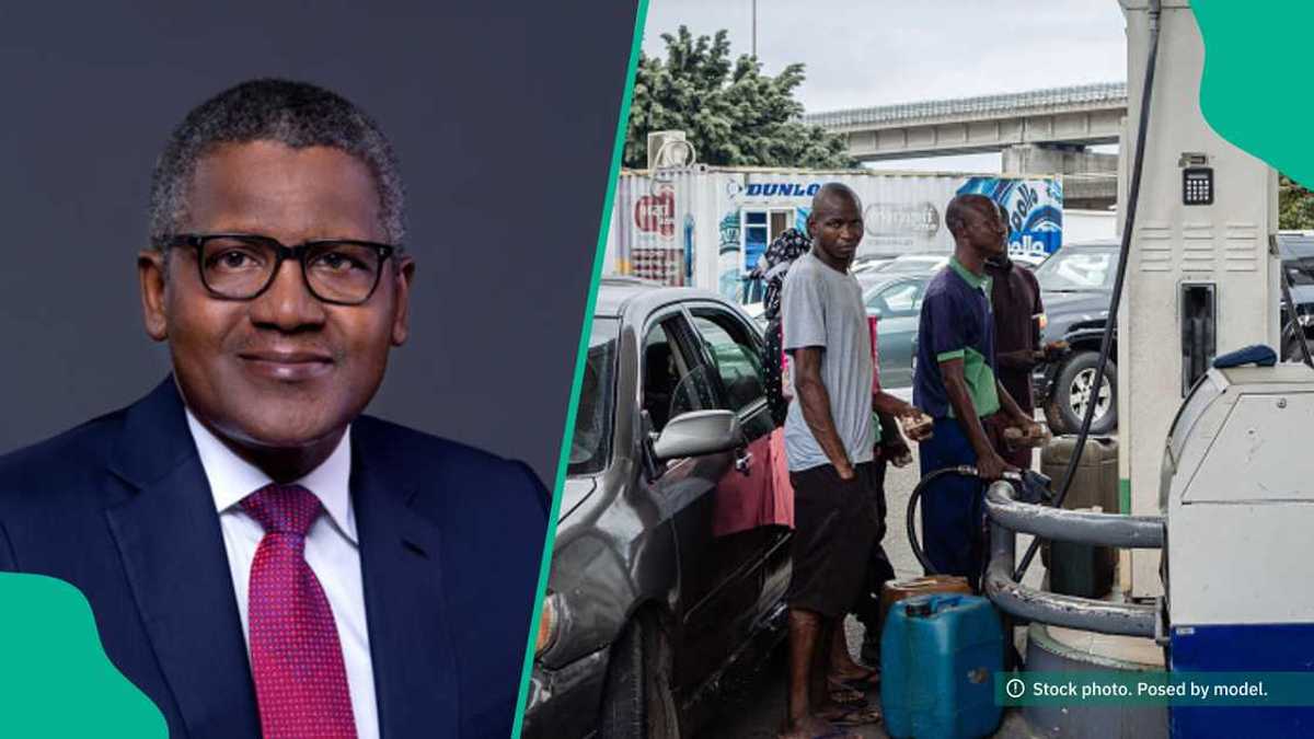 Dangote Makes Decision on Petrol Price in Nigeria After Meeting With Tinubu