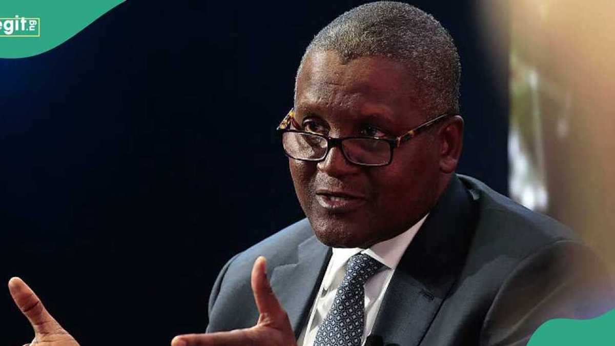 Dangote zai Yi Hadakar Kafa Kamfanin Shinkafa a Neja, Matasa za Su Samu Ayyuka