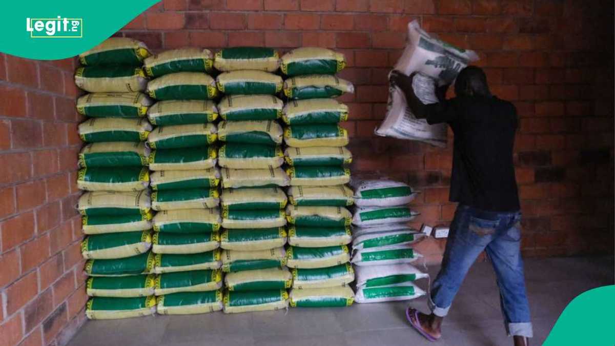Dealers Crash 50kg Bag of Rice Below N60,000 As FG Introduces 2 New Rice Varieties