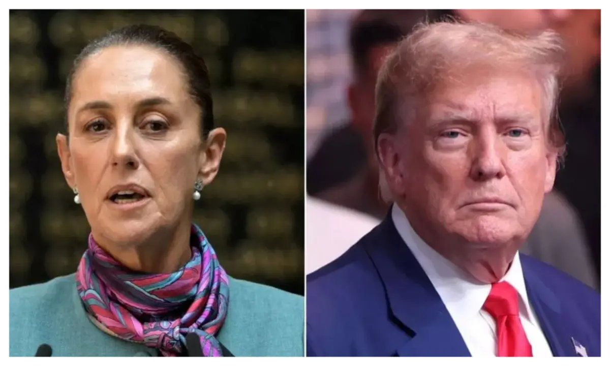 Drug cartels: Why Mexico president, Claudia Sheinbaum turned down my offer – Trump