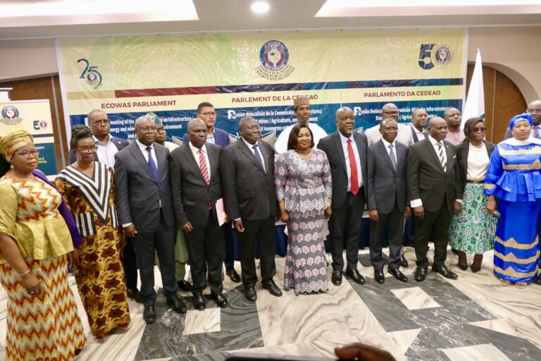 ECOWAS Parliament speaker, others decry W/Africa’s high airfares