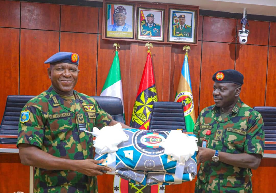 Enhanced Synergy Between NAF, Army Reshaping Nigeria's Counterinsurgency Operations — CAS