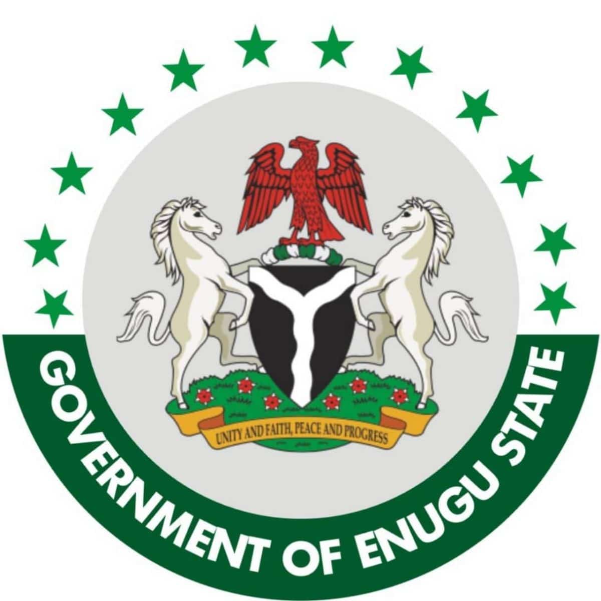 Enugu: Peace reigns in Ogugu Ntu-egbenese as new community leaders emerge