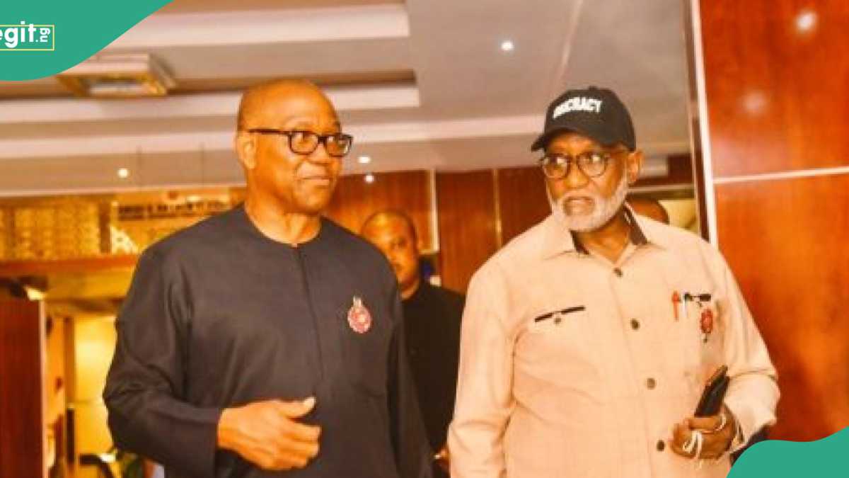 Ex-Obi Campaign Chief Obaze Resigns from Labour Party, Reasons Emerge
