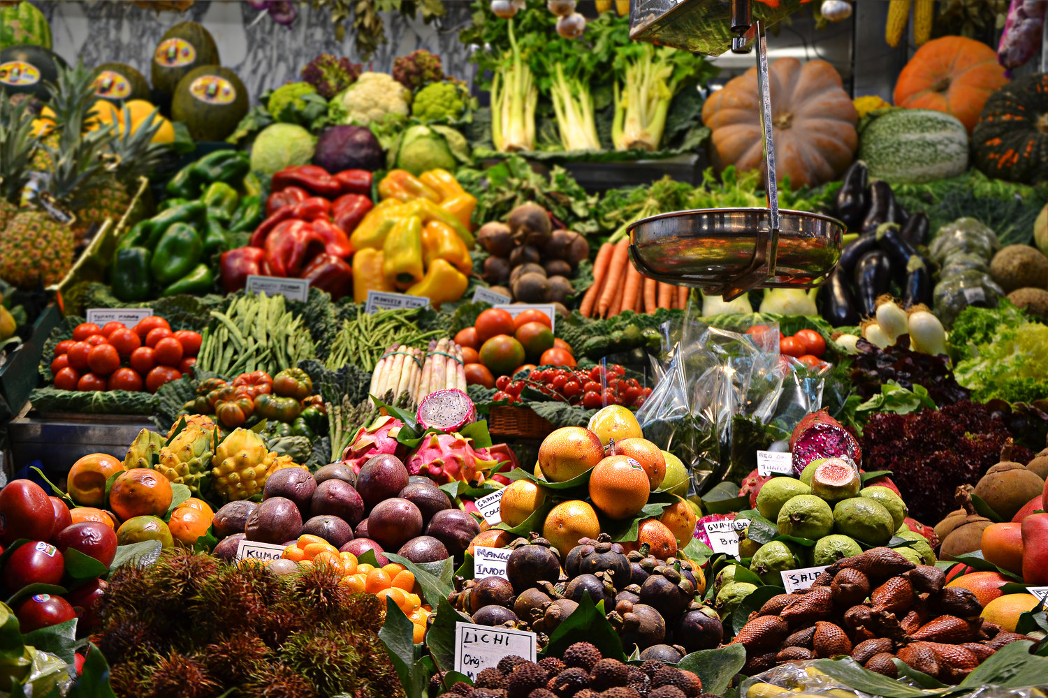 Experts Call For Immediate Ban Of GMO Foods In Nigeria