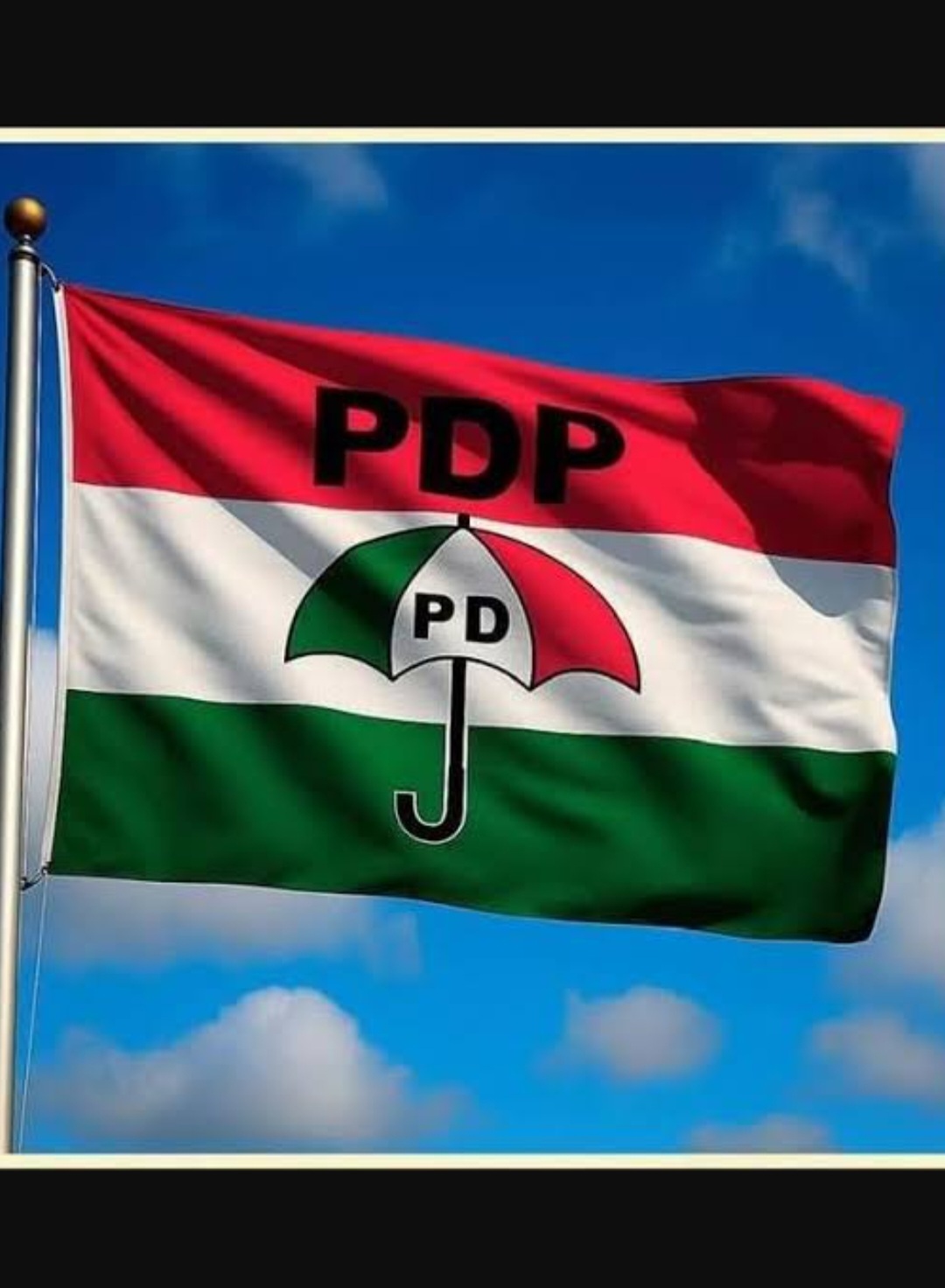 Faction drags Jigawa PDP leadership to court over disputed congresses