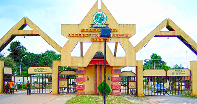 Final Year Student Of Michael Okpara Varsity Slumps, Dies