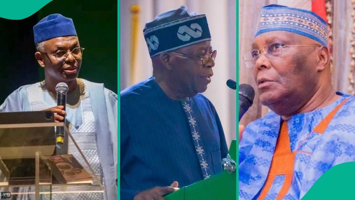 Full List: Tinubu, Atiku, Other Politicians' Children in Political Battle and Why