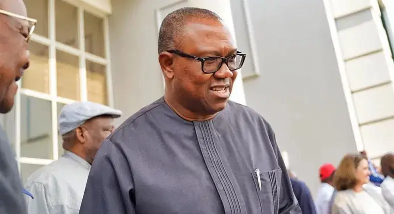 Govt's Wasteful Spending, Cause Of Nigerians Poverty - Peter Obi