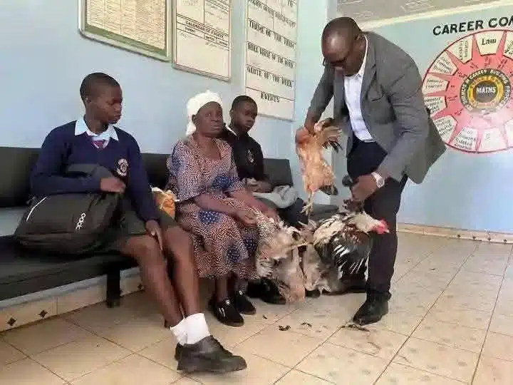 Grandmother goes to grandkids sch with 6 chickens in exchange