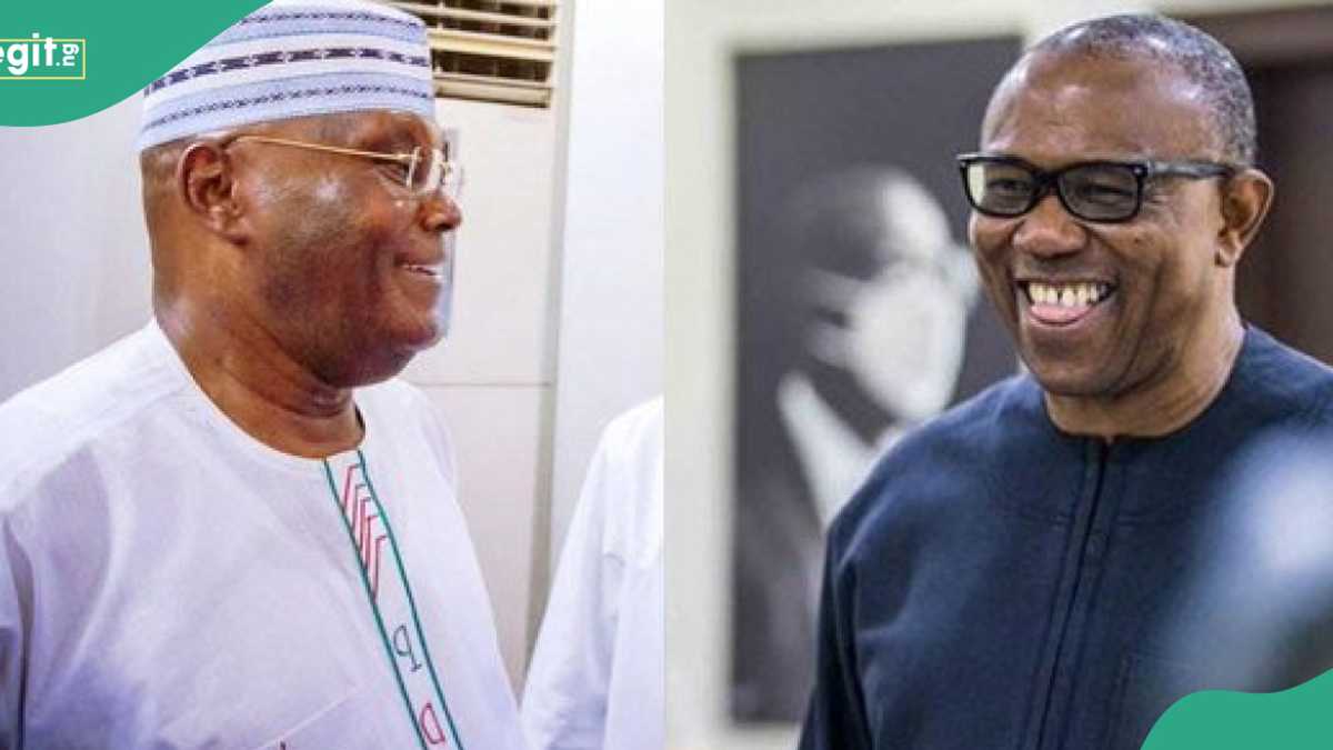 Hadakar 2027: Atiku Ya Yi wa Peter Obi Tayin Zama Mataimaki bisa Sharuda