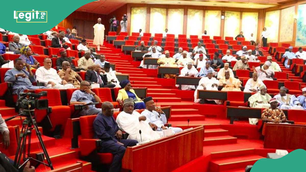 "Hateful Politics": South-East Senators Blow Hot Over 2025 JAMB Exam Error