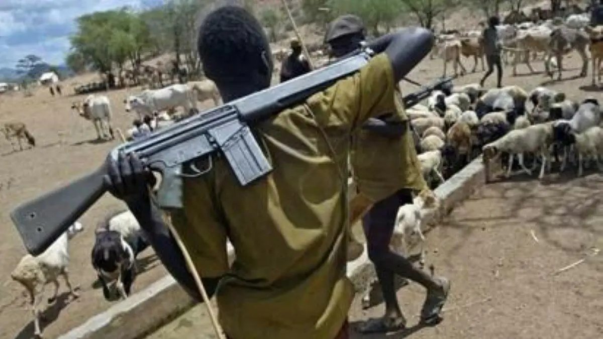 Herdsmen behind Agatu killings will be hunted down — Council chairman vows