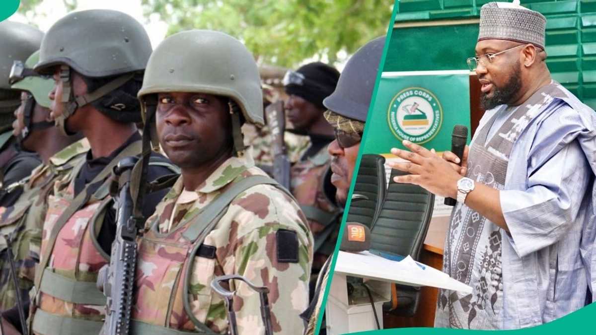 Insecurity: 'How Bandits Fed Newborn Twins To Their Dogs', Nigerian Lawmaker Raises Alarm