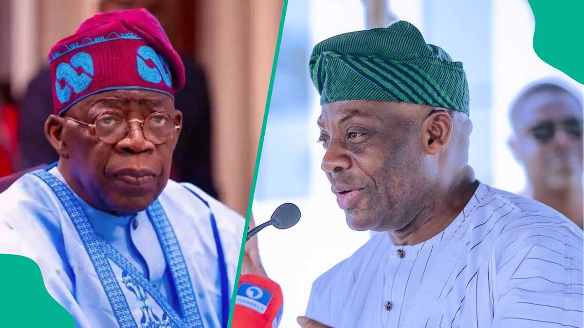 JAMB: Tinubu Told to Immediately Sack Education Minister, 'They Deliberately Want to Fail Students'